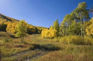Arvada Jobs, Colorado